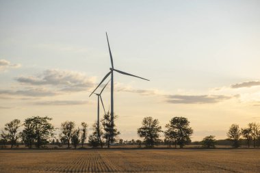 Rüzgar türbini yeşil alanda. Yenilenebilir enerji. alternatif elektrik kavramı.