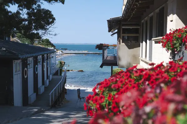Güzel tatil beldesi. Yeşil ve çiçekler
