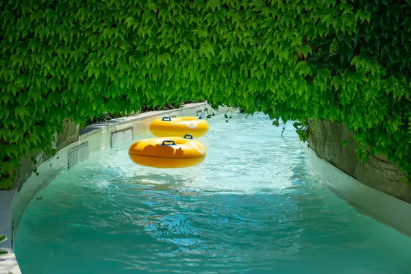 Sarı ve yeşil bir su manzarası