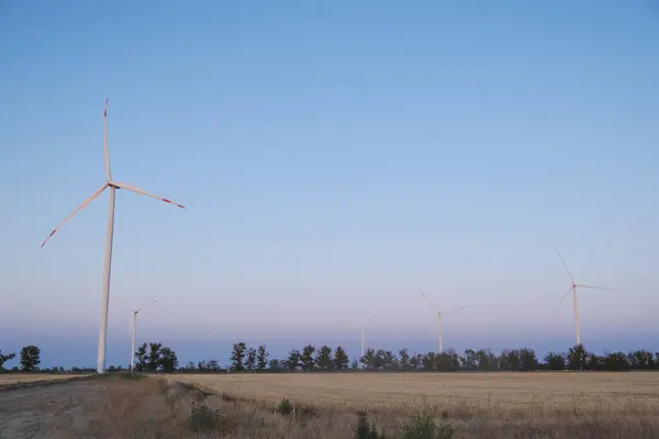 Günbatımında rüzgar türbini,