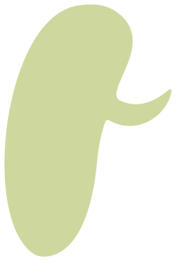 Renkli konuşma balonu, kabarcık metni, sohbet kutusu, mesaj kutusu çizgi film tasarımı