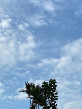 Bulutlu Mavi Gökyüzünün Altındaki yemyeşil ağaç. Bulutlu bir gökyüzünün ön planda yalnız bir ağacı olan bir manzara fotoğrafı. Ağaç geniş yapraklı bir türdür ve yemyeşil ve gür görünür..