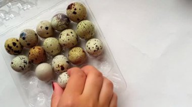 Bir kadın yakın planda yumurta tepsisinden bıldırcın yumurtası alır. El, yumurtaları paketten çıkarır. Yatay video 16: 9. Arka plan, mesaj için yer. Yumurta pişiriyorum..