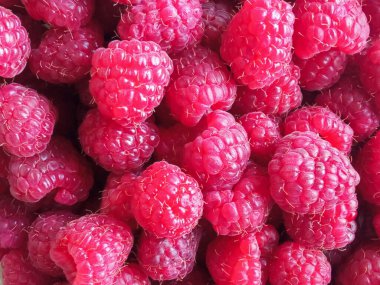 Kırmızı arka plan. Böğürtlen. Ahududu yakın çekimi. Kartpostalın arka planı. Doku. Ahududun faydaları ya da zararları kavramı. Parlak arkaplan.