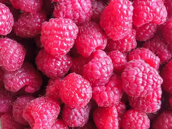 Kırmızı arka plan. Böğürtlen. Ahududu yakın çekimi. Kartpostalın arka planı. Doku. Ahududun faydaları ya da zararları kavramı. Parlak arkaplan.