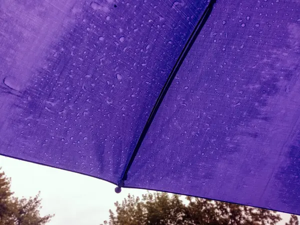 Yakın planda şemsiye üzerine yağmur damlaları. Yağmurlu bir hava. Yağmur mevsimi. Arka plan, mesaj için yer. Sonbahar. Bulutlu hava.