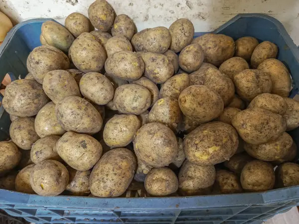 Marketteki kasada patates. Patates topluyorum. Patates topluyorum. Taze sebzeler. Çiğ yemek. Geçmişi. Soyulmamış patates.