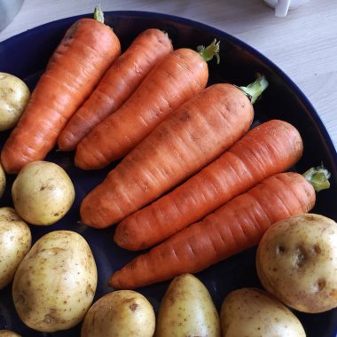 Çiğ patates ve çiğ havuç bir kabın üzerinde. Patates tabağı. Havuç tabağı. Yararları ve zararları. Patates ve havuç pişirmek. Taze sebzeler. Patatesleri deriyle yıkadım..