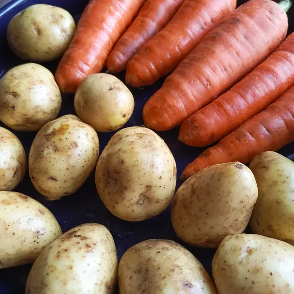 stock image Raw potatoes and raw carrots are on a baking sheet. Potato dishes. Carrot dishes. Benefits and harms. Baking potatoes and carrots. Fresh vegetables. Washed potatoes with skin.