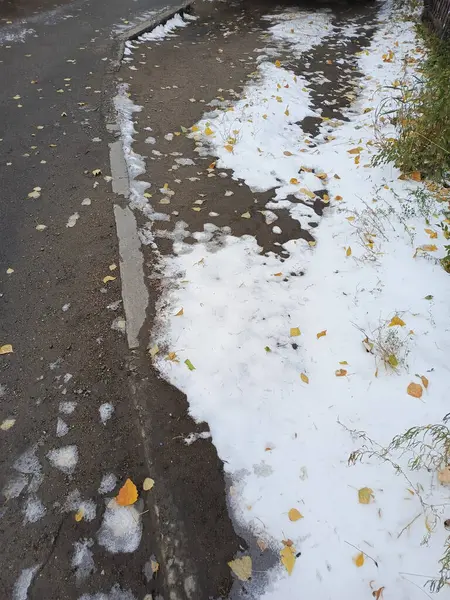 Kar şeklinde yağış. İnce bir kar tabakası. Kar ince bir tabaka halinde yerde yatıyor. Buz gibi soğuk. Kış başlangıcı. Metin için arkaplan, boşluk.