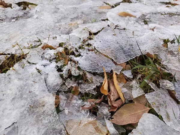 Kırık buz yerde yatıyor. İnce bir buz tabakasının altında kuru sarı yapraklar ve yeşil çimenler. Buz. Kışın başlangıcı, sonbaharın sonu. Geçmişi. Buz. Doğadaki soyutlama.