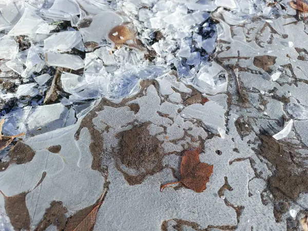 İnce bir buz tabakasının altındaki hava halkaları. Kırık buz. Buzun üzerindeki buz kalıpları. Metin için arka plan. İlk don. Buz. Kışın başlangıcı..