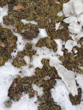 Beyaz kar kuru, sarı çimlerin üzerinde yatar. İlk kar. Kışın başlangıcı. Soyut, doğal arka plan. Yılın mevsimi değişti.. 