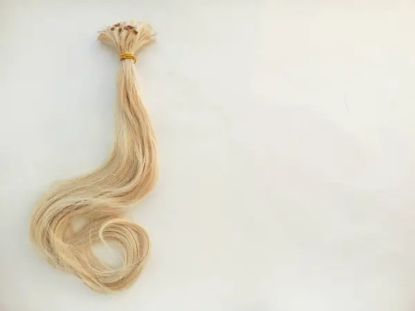 Donör saçından bir at kuyruğu, beyaz arka planda peruklar. Saçın kuyruğu sarıdır. Kapsül saç uzantıları. 