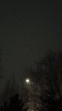 Gece vakti parka kar yağar. Bir sokak lambasının ışığı düşen karın üzerinde parlar. Bir bank ve bir fener. Kar yağışıweather condition.