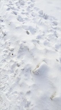 Karda ayak izleri. Yol boyunca kar yağışı. Şiddetli kar yağışıweather condition.