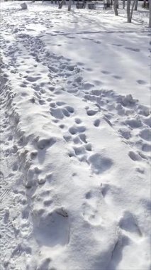 Karda ayak izleri. Yol boyunca kar yağışı. Şiddetli kar yağışıweather condition.
