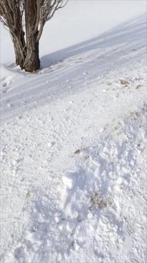 Kar yığınları yol boyunca uzanır. Büyük miktarda yağış. Kış havası.