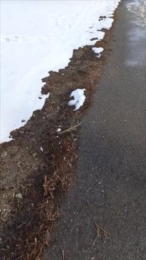 Karlar asfalt yol boyunca eridi. Baharda ısınıyor. Eriyen kar. Sıcak bir kasırga..