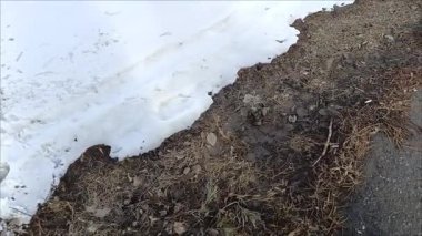 Karlar asfalt yol boyunca eridi. Baharda ısınıyor. Eriyen kar. Sıcak bir kasırga..