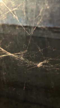 Güneş ışığında beyaz bir örümcek ağı. Hint yazı. Örümcek bezleri. Ağ eski pencerede..