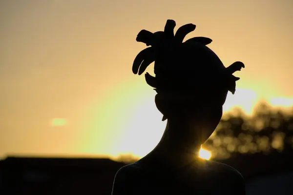 stock image Backlit portrait of a girl with dreadlocks, golden light at sunset.