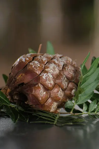 Masanın üzerinde ananas ve mastik yapraklar, dekoratif kompozisyon..