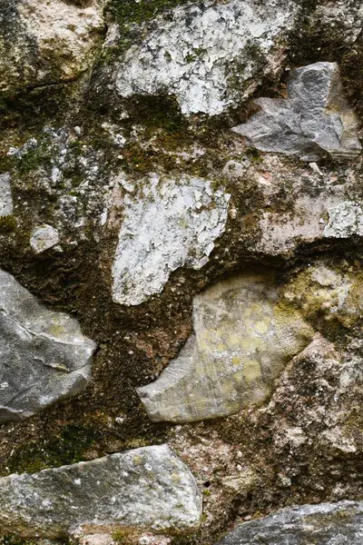 Yosun ve yosunlu taştan duvar dokusu.