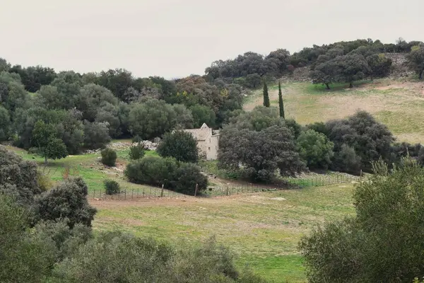 Cadiz Sierra 'sının Dehesa manzarası.