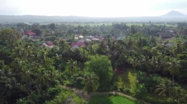 Yeşil çevre dostu çevreyle çevrili banliyö bölgesinin insansız hava aracı görüntüleri..