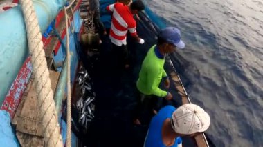 Aceh, Endonezya - 1 Haziran 2024: Balıkçı okyanustan ağlar içinde balık yakaladı. Endüstri, ağa takılmış balık avlayarak gelişiyor. 4K.
