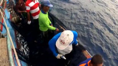 Aceh, Endonezya - 1 Haziran 2024: Balıkçı okyanustan ağlar içinde balık yakaladı. Endüstri, ağa takılmış balık avlayarak gelişiyor. 4K.