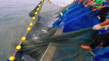 Balıkçı okyanustan ağlarla balık yakaladı. Endüstri, yakalanan balıklarla besleniyor..