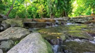 Ormandaki temiz yeşil nehir. Humaira Havuzu. Aceh Besar Regency, Pudeng köyünde sabah doğal atmosferi. Tatil, seyahat, tatil ve balayı konsepti.