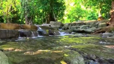 Ormandaki temiz yeşil nehir. Humaira Havuzu. Aceh Besar Regency, Pudeng köyünde sabah doğal atmosferi. Tatil, seyahat, tatil ve balayı konsepti.