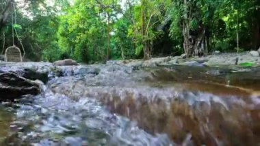 Ormandaki temiz yeşil nehir. Humaira Havuzu. Aceh Besar Regency, Pudeng köyünde sabah doğal atmosferi. Tatil, seyahat, tatil ve balayı konsepti.