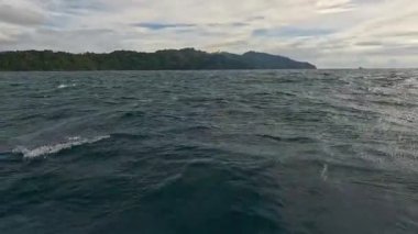 Kötü havada hareket eden tekneden deniz pelerini. Balık ve balıkçılık kavramı.