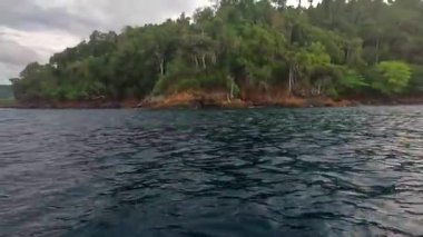 Kötü havada hareket eden tekneden deniz pelerini. Balık ve balıkçılık kavramı.