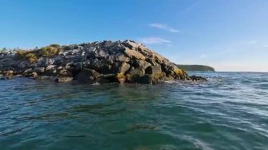 Güneşli bir günde hareket halindeki bir tekneden deniz pelerini. Tatil, seyahat ve tatil konsepti.