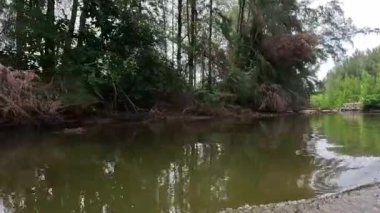 Güneşli bir günde hareket halindeki tekneden nehir ağzı manzarası. Tatil, seyahat ve tatil konsepti.