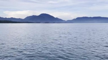 Güneşli bir günde hareket halindeki bir tekneden deniz pelerini. Güzel gökyüzü. Tatil, seyahat ve tatil konsepti.