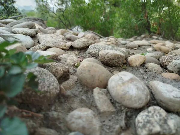Eski yosunlu taş işçiliği. Yeşil bitkiler ve filizlenmiş çimlerle kaplı büyük bir duvar.