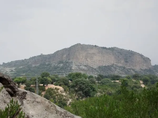 Sonbaharda parktaki ağaçlar mavi gökyüzüne karşı büyük ağacın yemyeşil dallarına bakıyor.