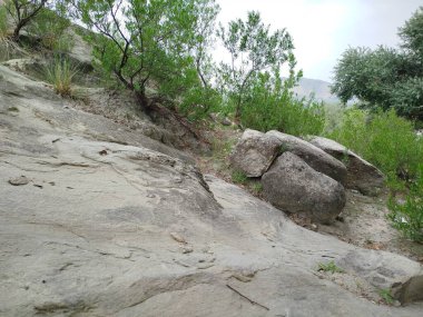 Taşlar ve taş basamaklar yemyeşil çimenlerin arasında