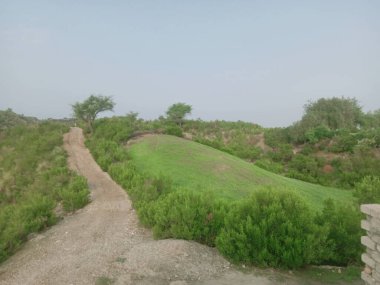 Çayırlık gökyüzü ve çim arka planı Pakistan 'ın bir vadisinde.