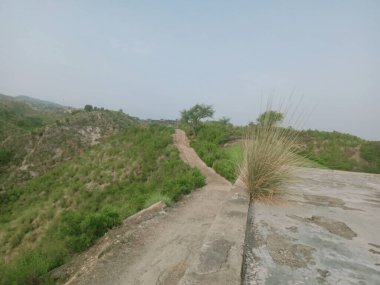 Çayırlık gökyüzü ve çim arka planı Pakistan 'ın bir vadisinde.