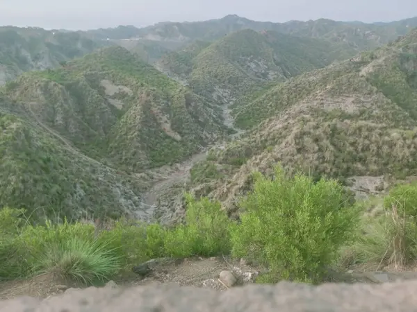 Çayırlık gökyüzü ve çim arka planı Pakistan 'ın bir vadisinde.
