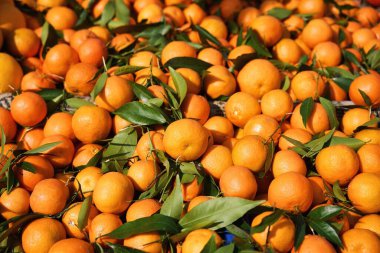 Portakallar, mandalina arkaplan ve doku. Yüksek kalite fotoğraf