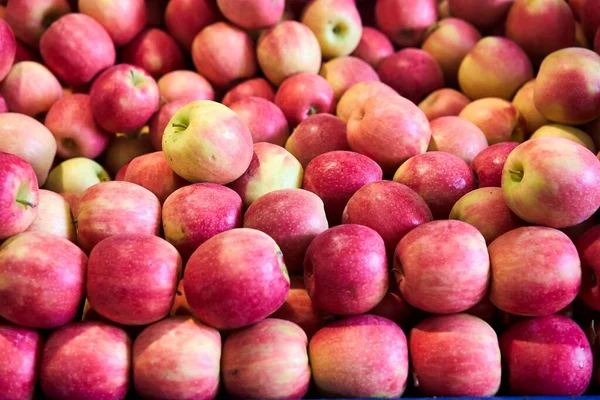 Manzanas Rojas Orgánicas Grandes Cantidades Foto Alta Calidad — Foto de Stock