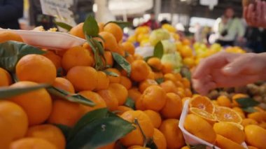 Mandarin hasadı. Mandalina. Mandalina hasadı. Yüksek kalite 4k görüntü